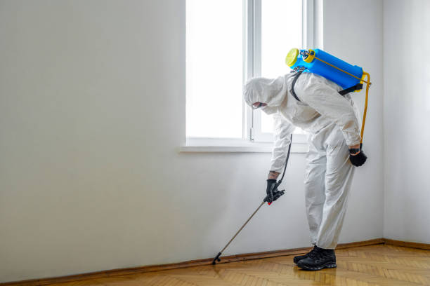 Pest Prevention Services in Richland, MO